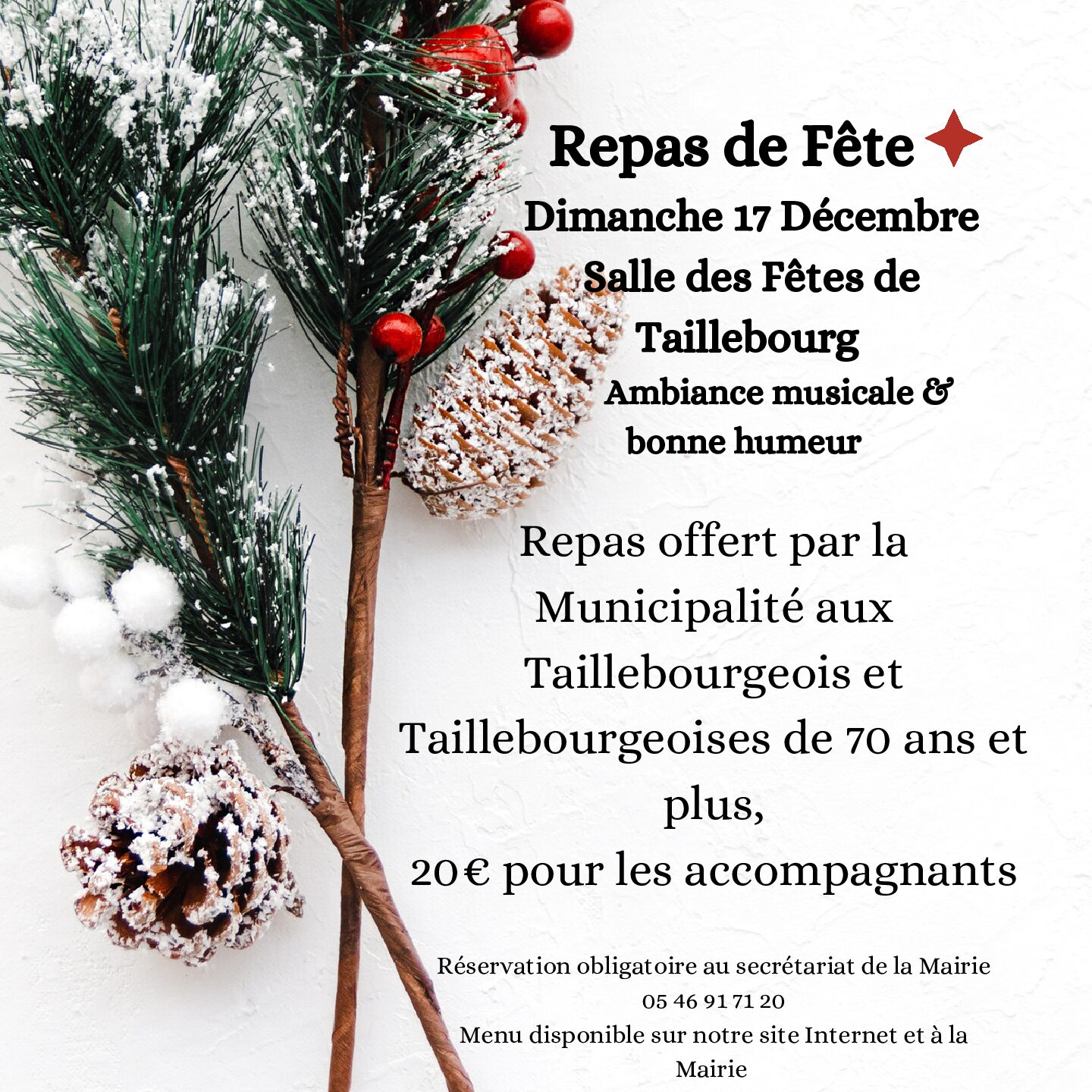 Repas de fête dimanche 17 décembre 2023
